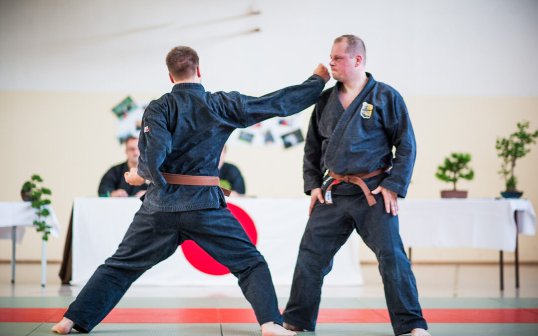 Jiu-Jitsu – mehr als nur Kampfsport